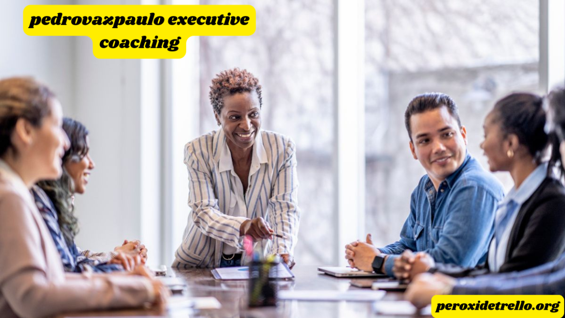 Pedrovazpaulo Executive Coaching: Transforming Leaders for a Dynamic World